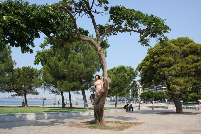 Highlights & Erinnerungen / Griechenland urlaub 2017 / g_5_3_img_9571.jpg