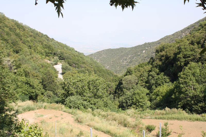 Highlights & Erinnerungen / Griechenland urlaub 2017 / g_5_3_img_9652.jpg