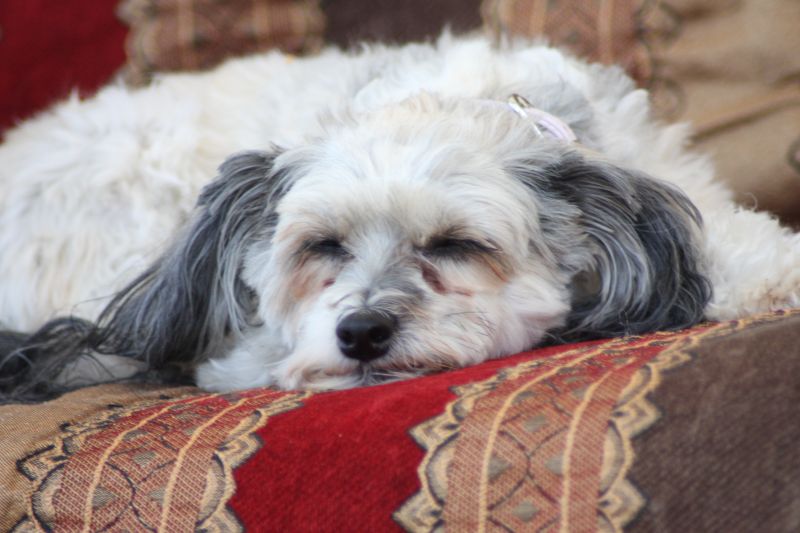 Highlights & Erinnerungen / Griechenland urlaub 2017 / g_5_3_img_9664.jpg