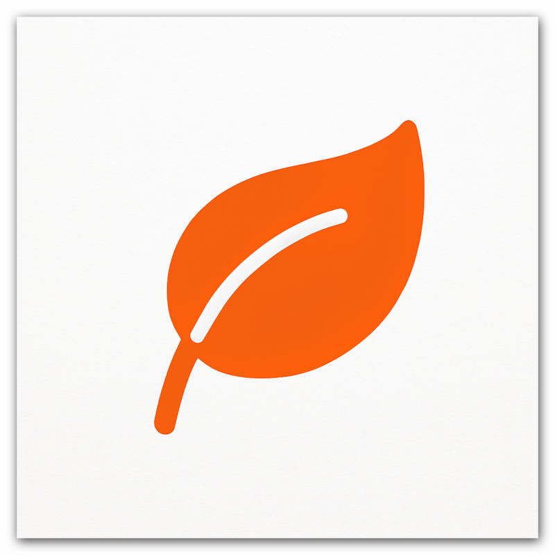 Es sind die kleinen Dinge …