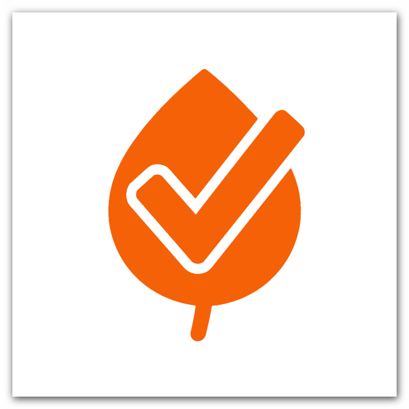 Vegan – gut oder schlecht? Eine ehrliche Betrachtung